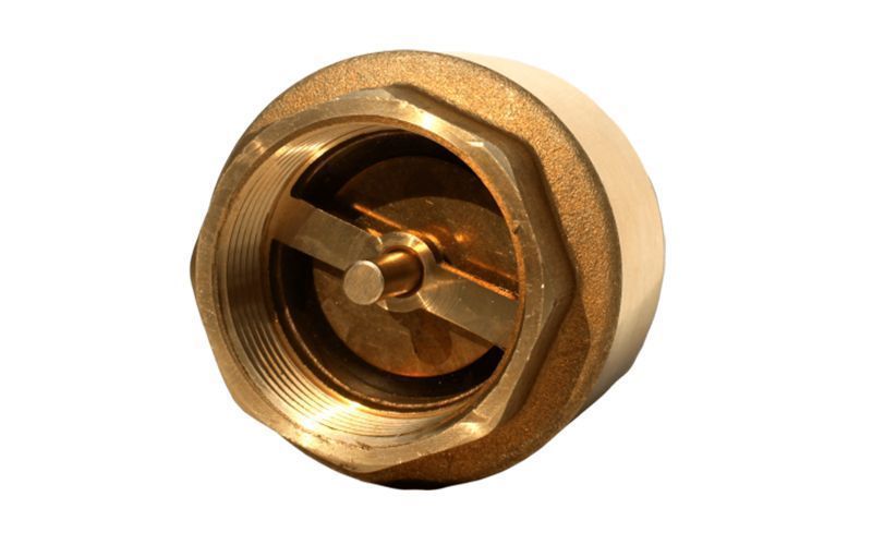 Brass Spring Loaded Check Valve