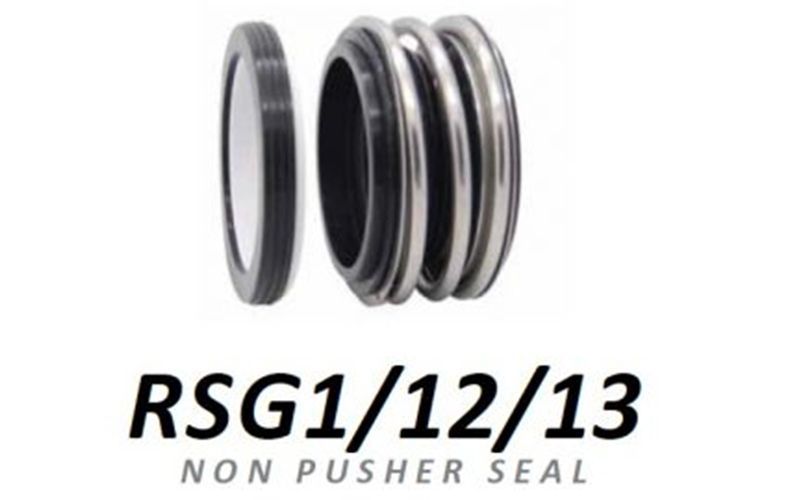 Non Pusher Seal RS1/12/13