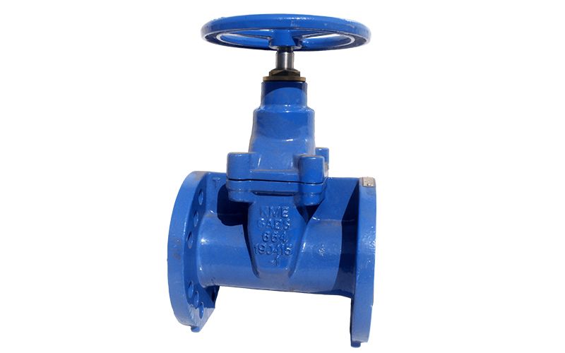 Process Control Solutions - Specialists in industrial fluid control - RSV Gate Valve
