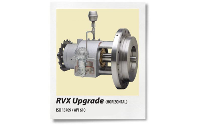 RVX Upgrade (Horizontal - ISO13709 / API610)