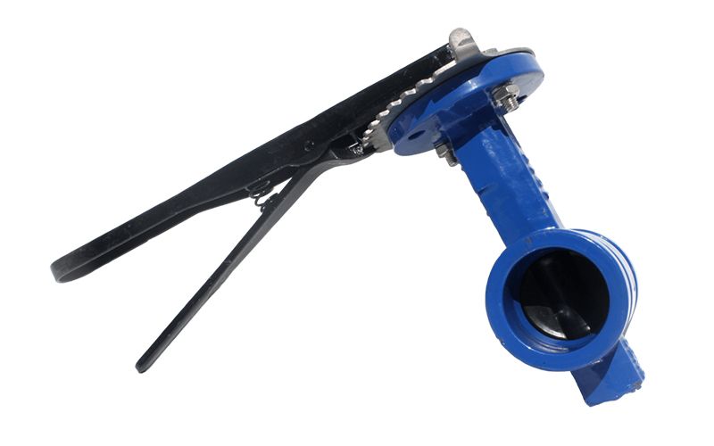 Shouldered Butterfly Valve