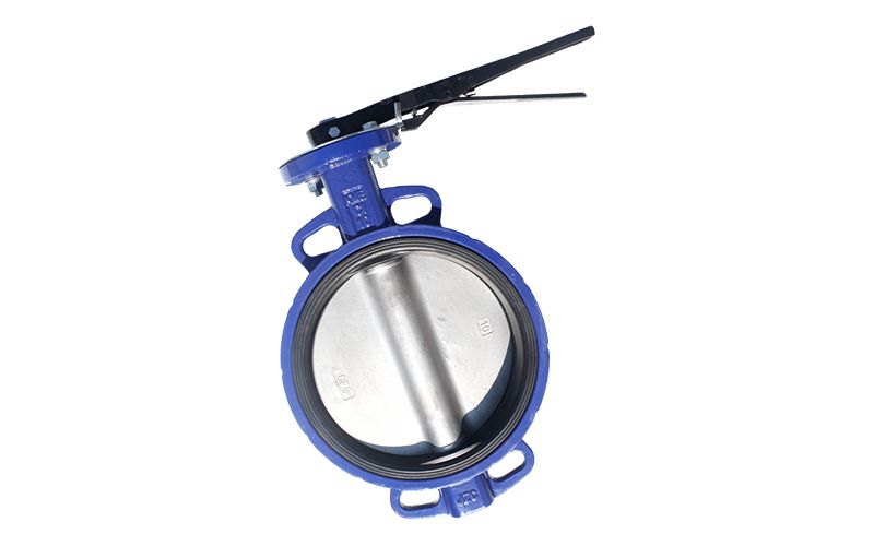 Stainless Steel Disc Butterfly Valve